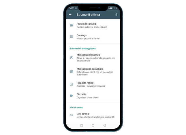 Screenshot dell'interfaccia di WhatsApp Business che mostra strumenti come la gestione del profilo, il catalogo prodotti, strumenti di messaggistica, risposte automatiche, etichette e link diretti per le chat.